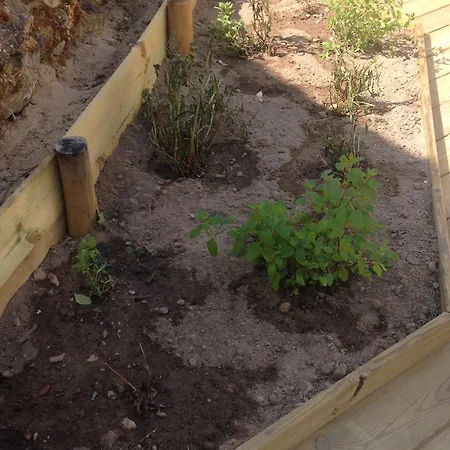 Maison Renovee Proche Avec Terrasse, Parking Prive Et Wifi A - Fr-1-426-440 Barbâtre